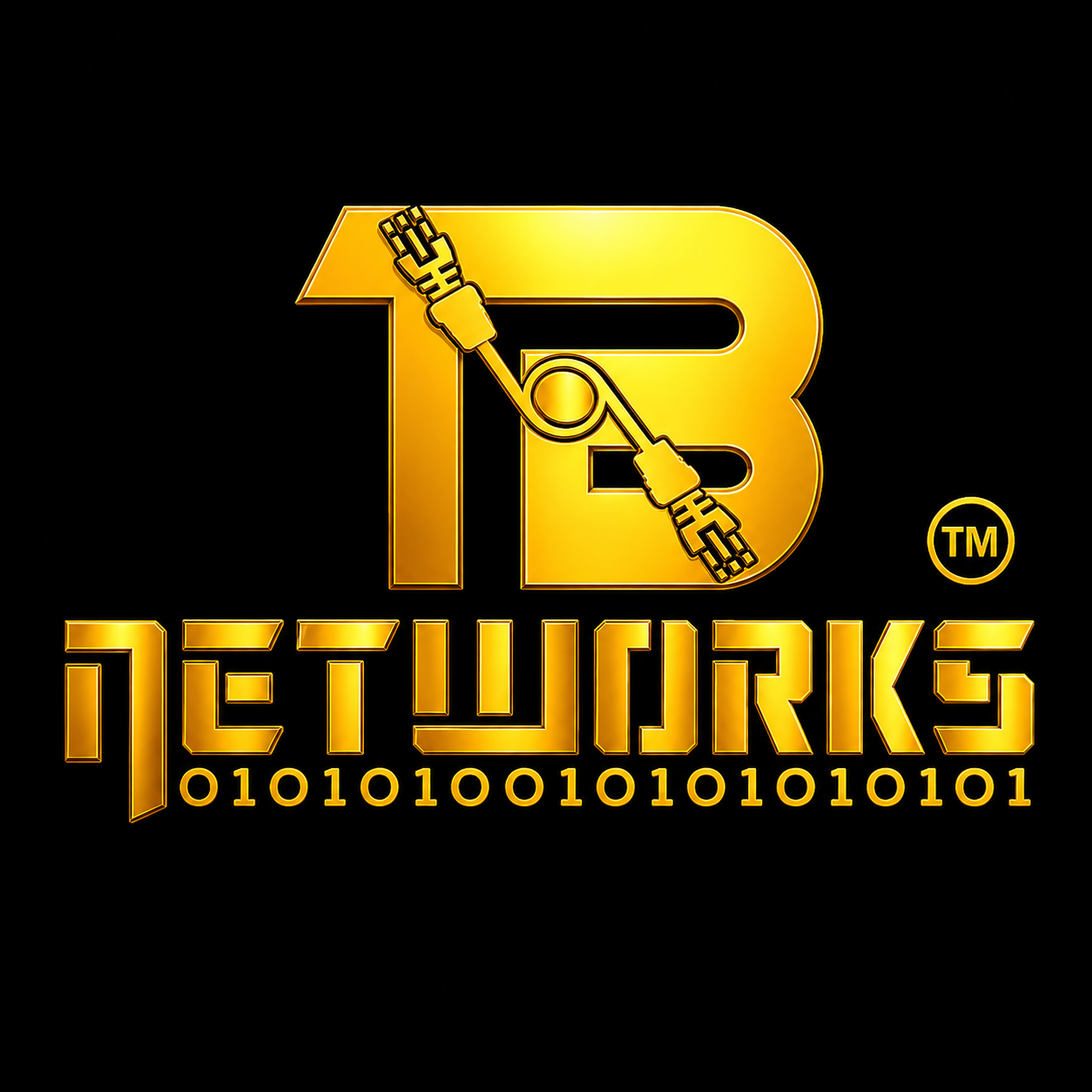TUNGABADRA NETWORKS PVT LTD